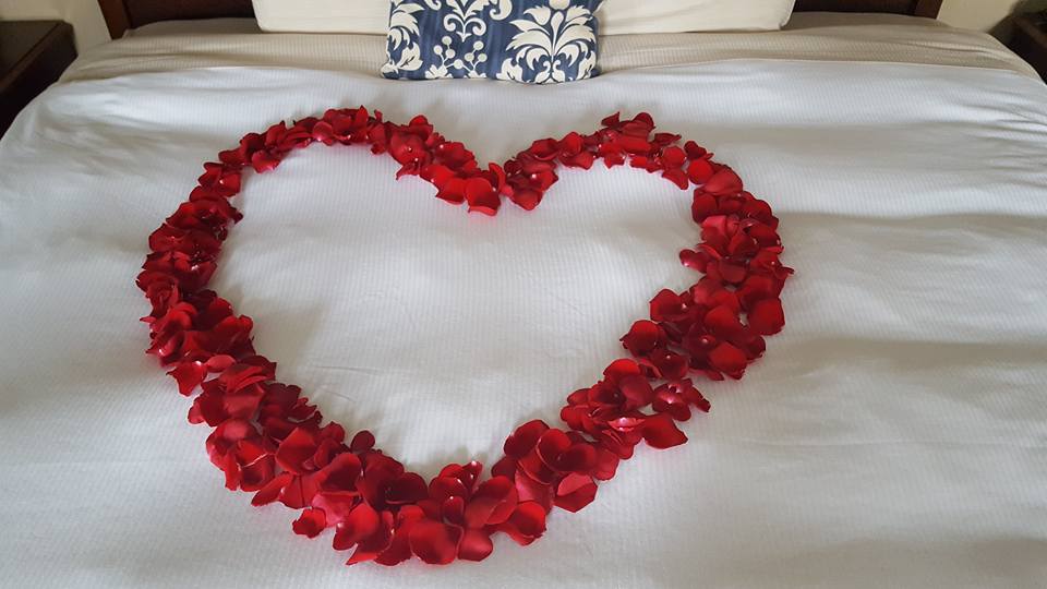 29570699_10103589092492062_5581592457428022246_n